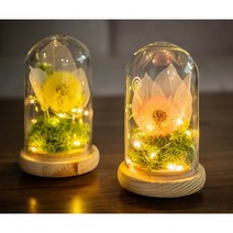 바보사랑 민들레 홀씨 미니 무드등 만들기 키트 (2color).덩크리, 핑크|선물상자추가