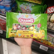 참스 미니팝 150g