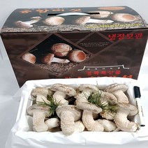 표고버섯하진이네무농약 가성비 좋은 제품 중 판매량 1위 상품 소개