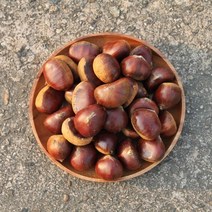 공주 햇밤 정안 알밤 칼집밤 옥광밤 대보밤 생률 생율 조생 에어프라이어, [칼집x] 알밤 2kg 대