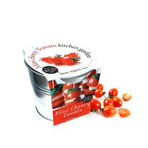 마이플랜트 양철 키친가든 앉은뱅이 방울토마토 키우기 세트 어린이 체험학습 텃밭세트 재배세트