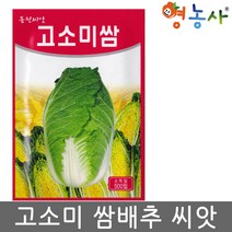 고소미 쌈배추씨앗 500립, 고소미쌈배추, 고소미쌈배추