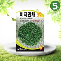 솔림텃밭몰 비타민채씨앗 2000립 쌈채씨앗 비타민쌈채 쌈채소
