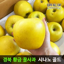 이츠올릿 경북 시나노 골드 황금 꿀사과 5kg 노란 스위트 사과 청송 밀양 얼음골, (정품)10kg부사 대과 (24-26과)