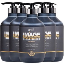 위스티 이미지 극손상 헤어트리트먼트 디어메모리 500ml, 5개
