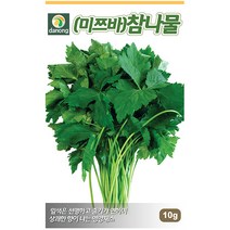 다농 쇠무릎 1g - 씨 씨앗 쇠무릎씨앗 쇠무릎씨 우슬초 산형채 대절채 쇠물팍 은실 백배 마청초 나물씨앗 민속채소 채소씨 채소씨앗, 06_다농_미쯔바 참나물(10g)