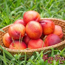 초록자연 천도 5kg (31-과) 제철과일