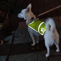 빛반사 대형견 강아지베스트 산책 안전쪼끼 퍼피 야광 조끼 찍찍이옷