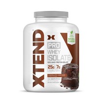 사이베이션 엑스텐드 프로 웨이 프로틴 아이솔레이트 단백질 보충제 초콜릿 라바 케이크 글루텐 프리, 826g, 1개