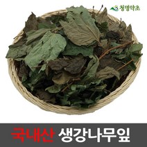 생강나무잎 생강나무(150g)-국내산, 1개, 150g