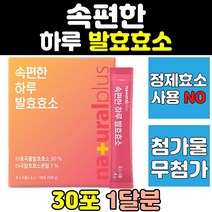 속편한 곡물 발효 효소 프로타아제 아밀라아제 분말 유산균 식품 곡물효소 가루 퍼우더 현미 새싹