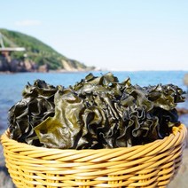 완도산 미역귀 자연산 햇 미역귀 건 귀다리 500g