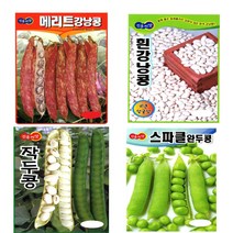 스파클완두 흰강낭콩 작두콩 얼룩이강낭콩 서리태 씨앗 종자 (스파클완두 흰강낭콩 작두콩 얼룩이강낭콩 서리태 씨앗 종자), 1.메리트 강낭콩 30g