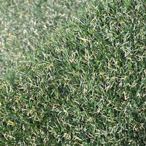 아파트 테라스 인조잔디 롤카페트 100x100 조화잔디 정원꾸미기 조경잔디 풋살장잔디