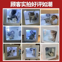 강아지건조기 펫드라이기 드라이룸 강아지 중형견 대형견 펫드라이룸 애완동물 건조 상자 완전 자동 개 및 고양이 공기 크고 작은 건조기 목욕용 헤어드라이어 헤어 도구