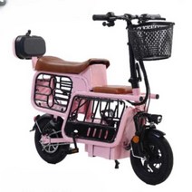 더블 팻 바이크 미니 전기 자전거, 15A의 배터리