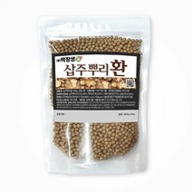 백장생 국내산 삽주뿌리환 백출환 300g, 단품, 단품