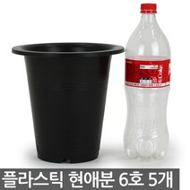 플라스틱 현애분 9호 화이트 3개 - 화분 베란다화분 꽃화분 대형화분 플라스틱화분 검정화분 블랙 화이트 흰색 파란화분, 01_한성_현애분 블랙(6호) X 5개