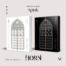 에이핑크 Special Album HORN APINK 혼 버전선택, white(화이트), 랜덤 지관통포스터