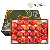 장길영사과 장길영 알뜰사과 5KG 중소과(17-23과) 청송사과 산지직송, 1세트