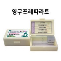 영구 프레파라트(세포분열 5매)