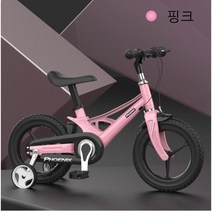 디와이(DY) Phoenix 피닉스 아동 어린이 자전거 12 14 16인치 레드 무지개 블랙 핑크, 핑크+16인치