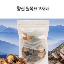 MDG1742 DHD 빼어날수 원목표고 향신버섯