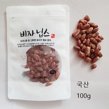 비자열매 견과류 영양간식 100g, 1개