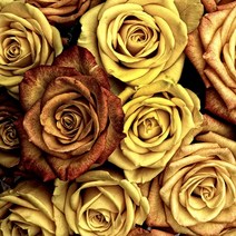 [캔들이케아] 국내산 프래그런스 100ml 오일 97종, 14_샹스