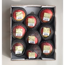 프리미엄 애플망고 달콤한 망고 선물세트, 1박스, 항공직송 애플망고 2kg 특대(4-5과)