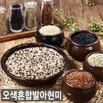 2022년산 햅쌀 현미찹쌀처럼 찰진 유기농 오색발아현미 5kg, 1개