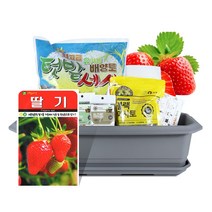 월드가드닝 집에서길러먹는채소-딸기텃밭세트9종, 단품