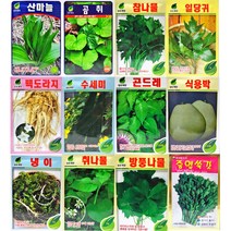 특용작물씨앗/ 약용작물씨앗/ 민속채소씨앗/ 콩씨앗/ 곰취 산마늘 일당귀 참나물 취나물 방풍 곤드레 냉이 수세미 식용박 백도라지/얼룩강낭콩 호랑이콩 빨강강낭콩 서리태 백태 팥 쑥갓, 18.쑥갓