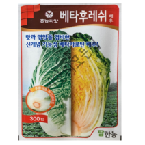 베타후레쉬 배추씨앗 300립 기능성 가을김장 베타카로틴 청방 저장성우수 22년햇종자 항암