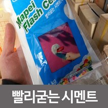 신나라-닷컴_빨리굳는 시멘트 균열 보수 공사 미장 난간 집수리 고정용 인테리어 가정용 보수용 바닥 접착_ tlsskfk, 신나라_닷컴-옵션_시멘트-백색