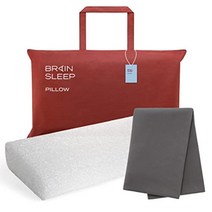 BRAIN SLEEP 베개 스탠다드+베개 커버(유기적 수면) 클라우드 화이트, 1개, 본질적인 절전 모드: 결석 회색
