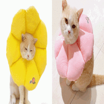 강아지 고양이 방수 쿠션넥카라 꽃모양 중성화수술후 관리 오버그루밍방지, 핑크/M