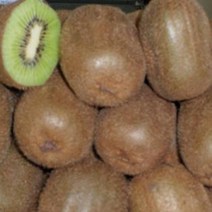 묘목/키위나무(그린키위) /접목1년[숫나무] SK181, 1개