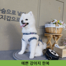 생활의모음 반려견 강아지 추석 설날 한복, 황진이 한복 남자