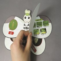 배추흰나비의 관찰 5인