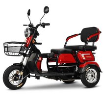 3륜 바이크 노약자 이동 전동차 전기차 노인용 스쿠터, 48V+원형램프+600W+13AH+50마일