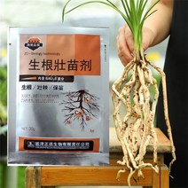 식물 영양제 고추 거름 식물영양제 빠른 분말 성장 조절제 꽃 이식 비료 호르몬 뿌리 활력 씨앗 발아 생존 향상 30