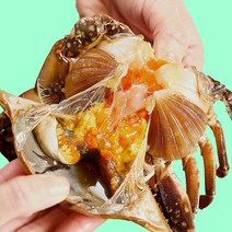힐링농수산 여수 간장게장 암꽃게장 알배기 게장, 700g