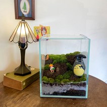 테라리움 비단 이끼 3TYPE 키트 실내공기정화식물 인테리어 화분 DIY, B