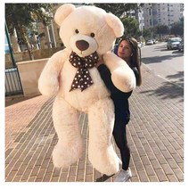 특대형 초대형 빅사이즈 테디 팬더 베어 곰인형 친구 선물 전용 가방 1.4m, typeE