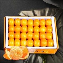 보섭이네푸드 가락시장 직송 유명산지 하우스감귤 5kg 40과내, one color/free