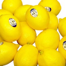 레몬 1kg~3kg 팬시레몬 초이스레몬 레몬에이드 레몬청, 초이스 레몬 1kg(8~10과)