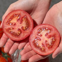못난이토마토 당뇨에좋은과일 국내산 3kg 주스용토마토, 쥬스용 완숙 찰토마토 3kg