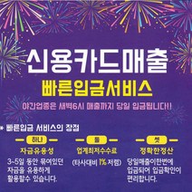 가맹점 신용카드매출관리 당일입금 즉시입금, 가맹점 신용카드매출 당일입금 즉시입금