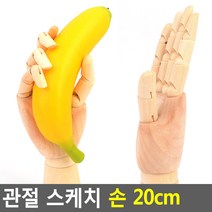 관절 스케치 손 20cm